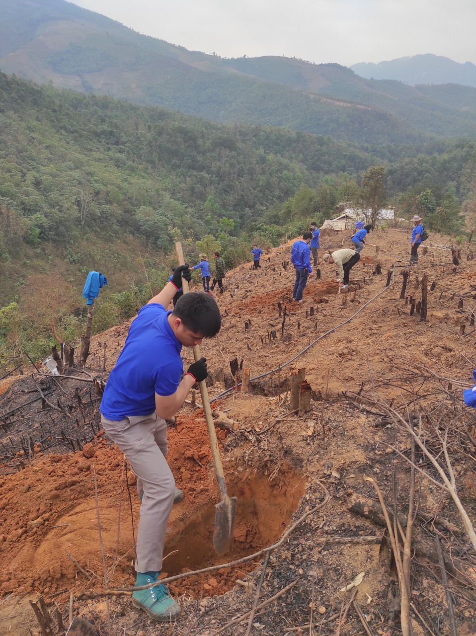 một số hình của đoàn viên thanh niên giúp dân đào hố trồng cây mắc ca